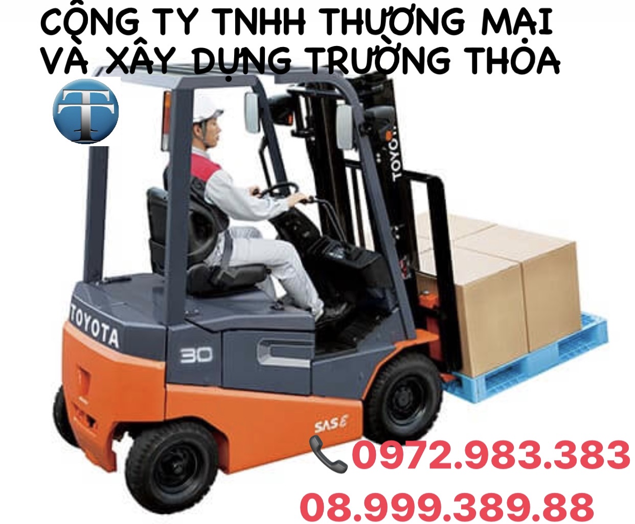 Cho thuê xe nâng hàng tại Thủ Dầu Một, BD