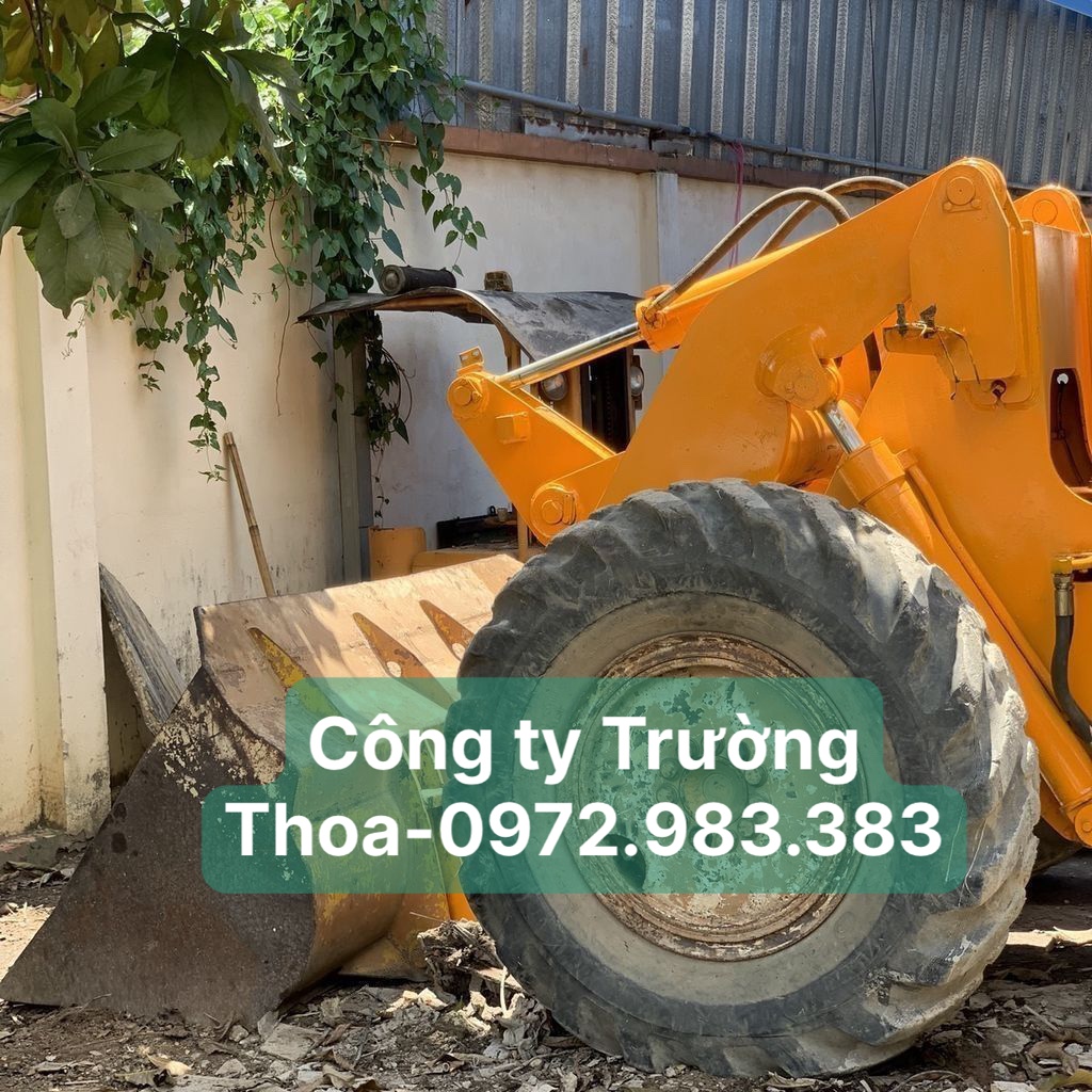 Công ty Trường Thoa - 0972.983.383 máy xúc lật TCM STD30