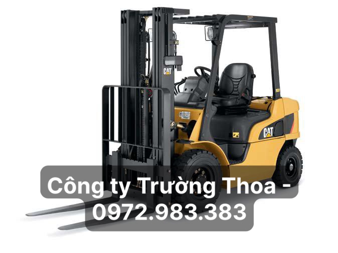 Công ty Trường Thoa-0972.983.383