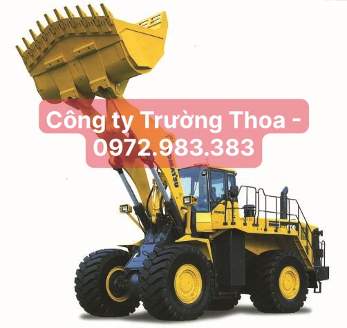 Công ty Trường Thoa-0972.983.383