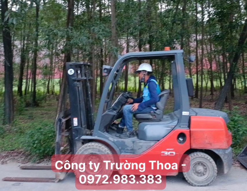 Công ty Trường Thoa-0972.983.383