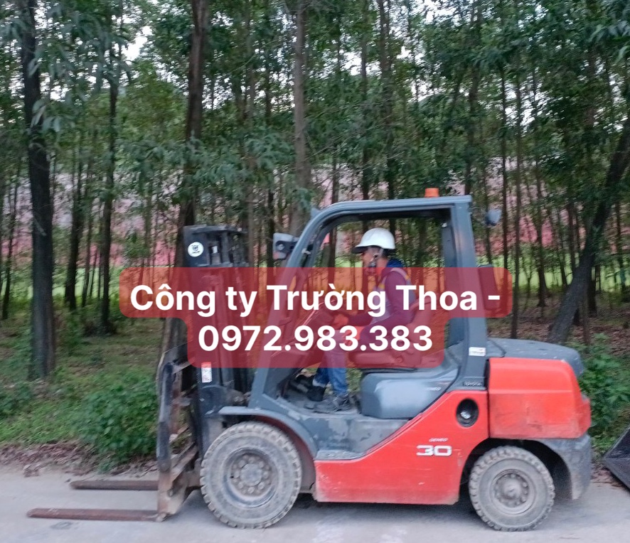 Công ty Trường Thoa-0972.983.383