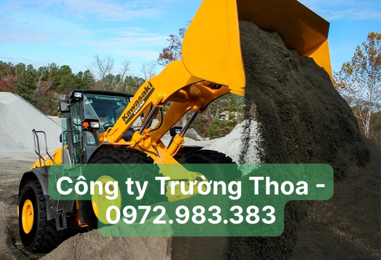 Công ty Trường Thoa xe xúc lật Kawasaki 85ZV