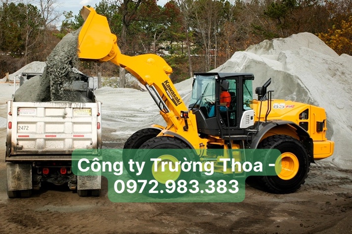 Công ty Trường Thoa-0972.983.383