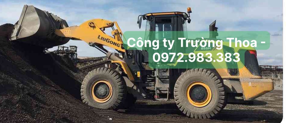 Công ty Trường Thoa-0972.983.383