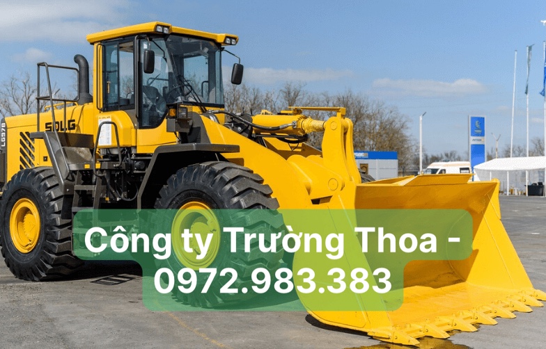 Công ty Trường Thoa-0972.983.383