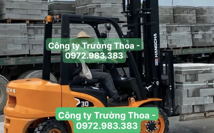 Công ty Trường Thoa-0972.983.383