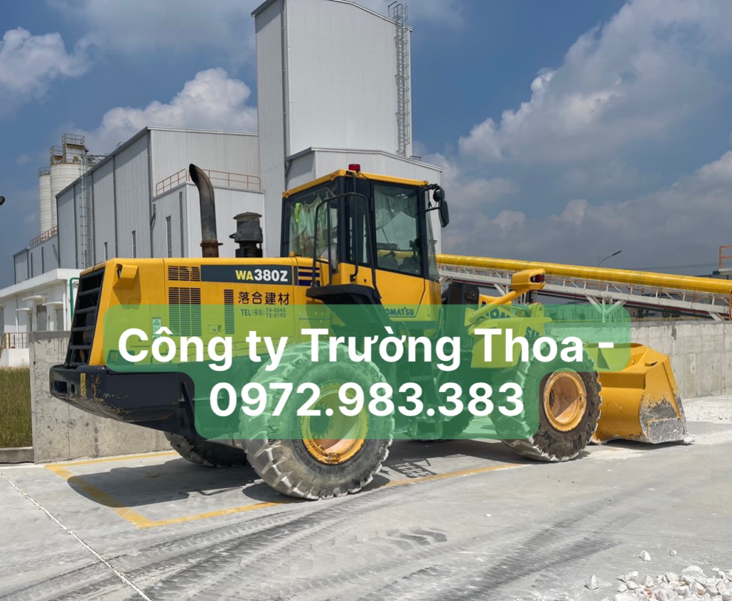 Công ty Trường Thoa-0972.983.383