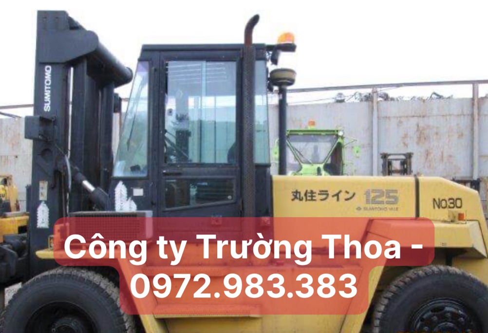 Công ty Trường Thoa xe nâng hàng Yale FD125PA