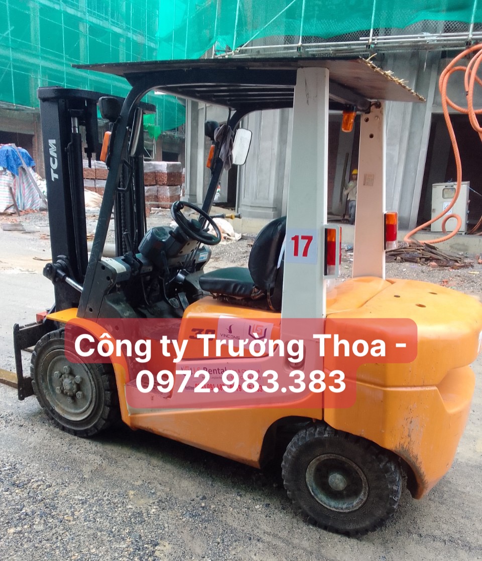 thuê xe nâng hàng công ty Trường Thoa