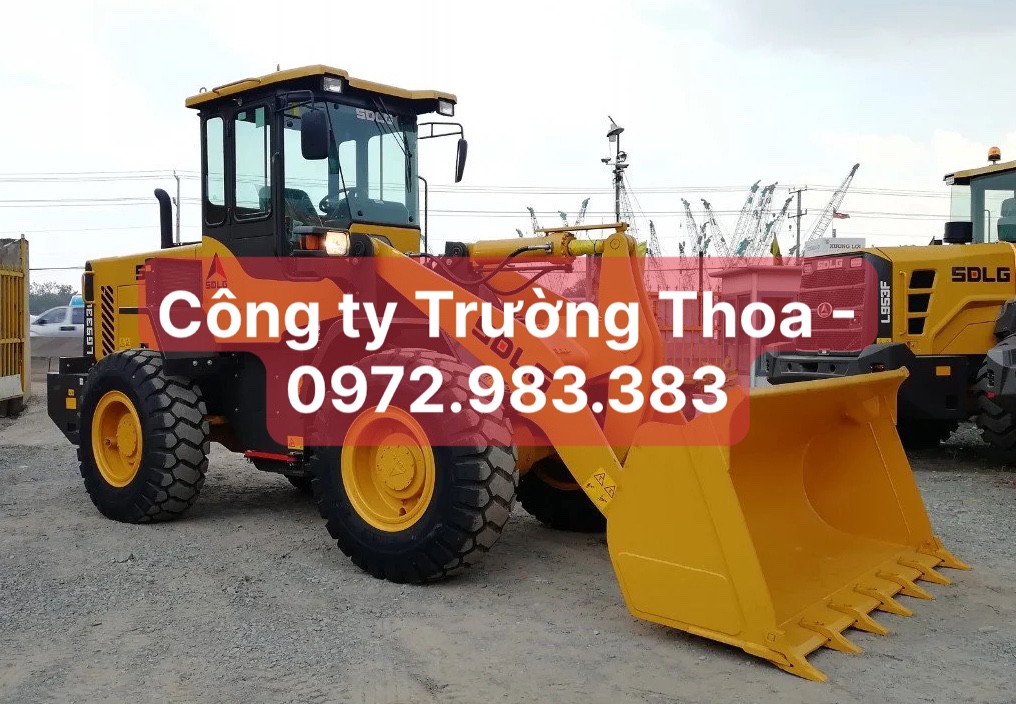 Công ty Trường Thoa - 0972.983.383