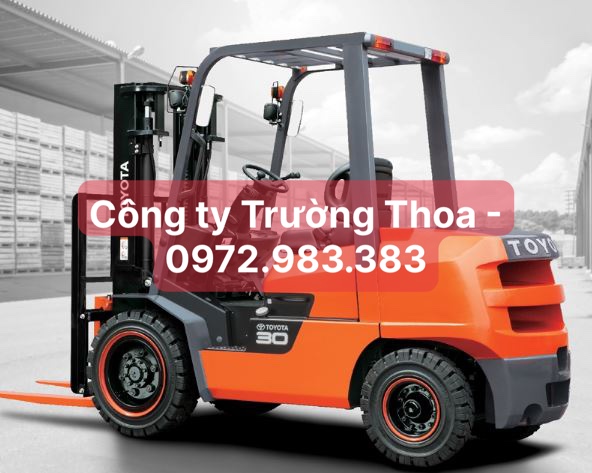 Công ty Trường Thoa - 0972.983.383