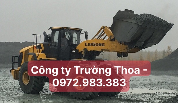 Công ty Trường Thoa - 0972.983.383