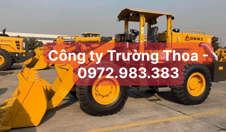 Công ty Trường Thoa - Xe xúc lật SDLG ZL30E