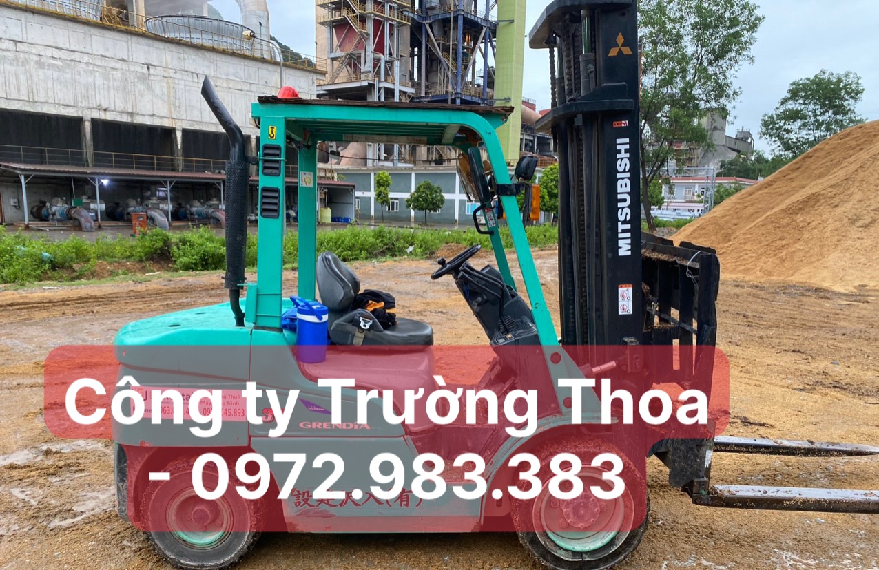 thuê xe nâng hàng 0972.983.383